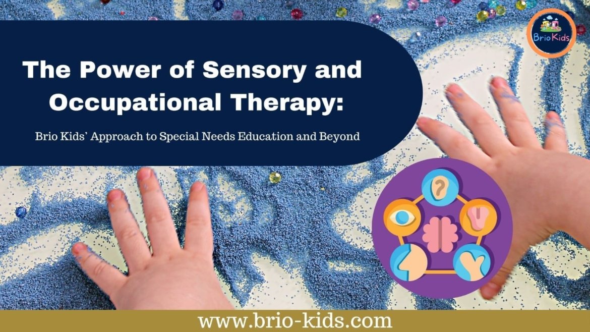 The Power of Sensory and Occupational Therapy: Brio Kids’ Approach to Special Needs Education