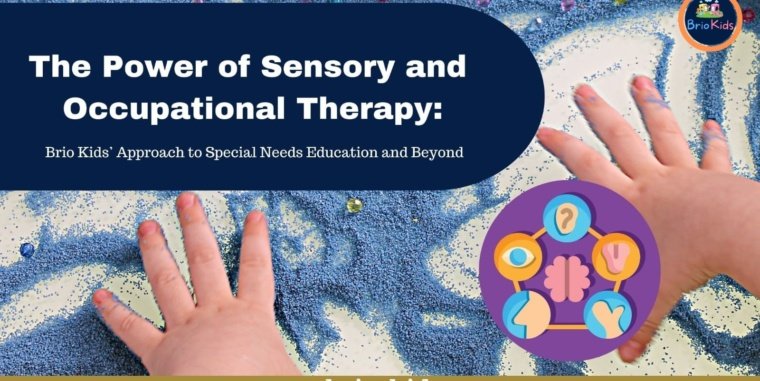 The Power of Sensory and Occupational Therapy: Brio Kids’ Approach to Special Needs Education